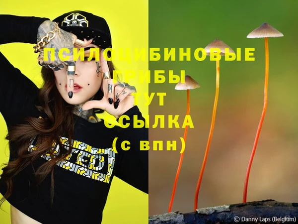 бошки Алзамай